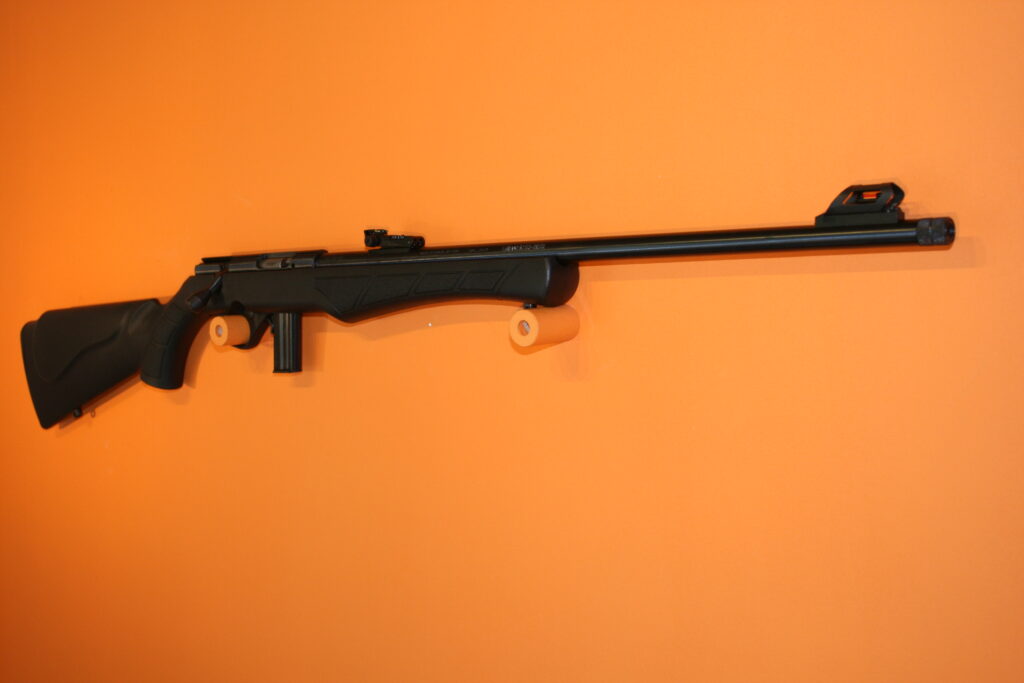 Carabine ROSSI 8122 .22 LR